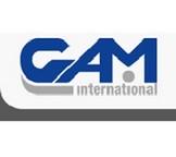 gam.q.jpg