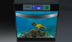 opt_mas_UC_designtuere_05_fische.jpg